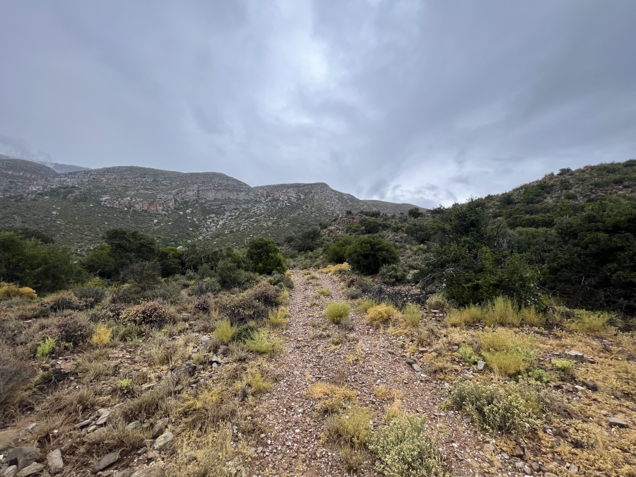 0 Bedroom Property for Sale in Ladismith Western Cape